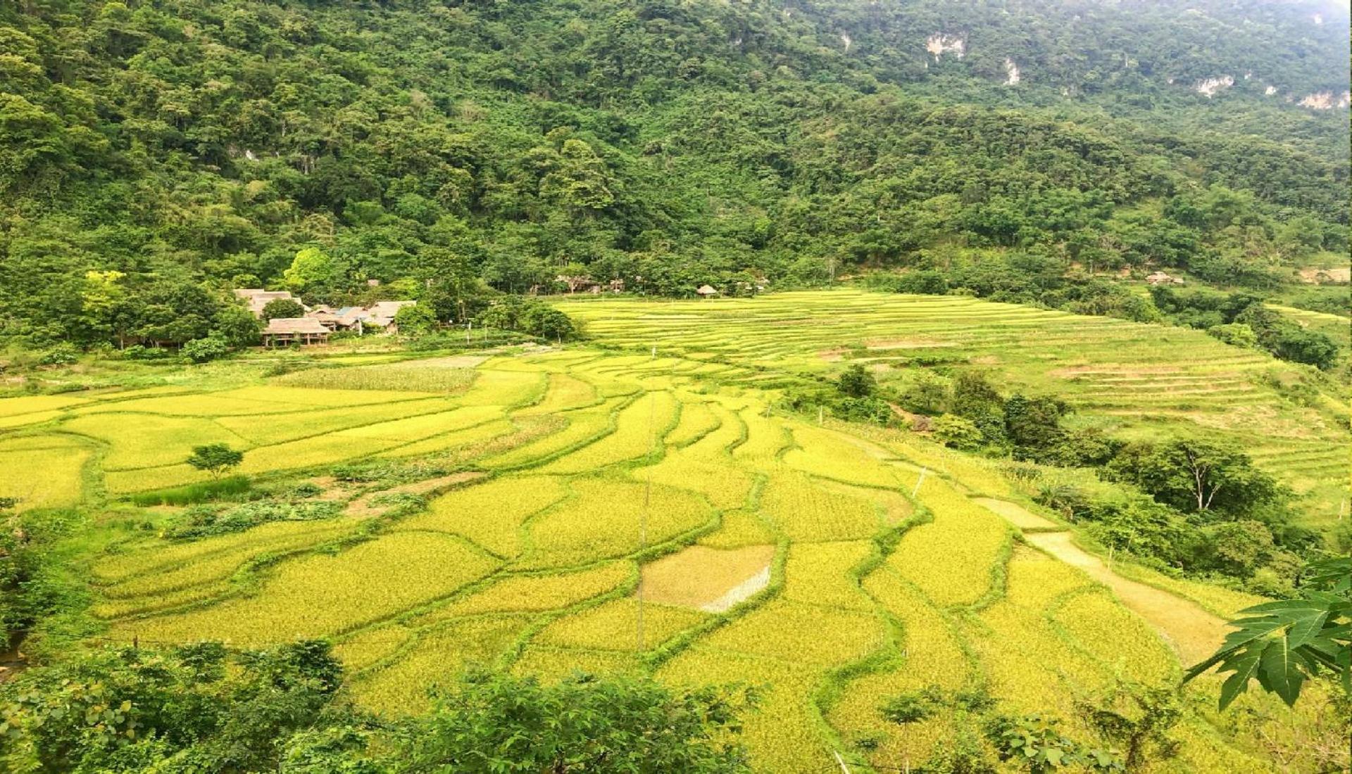 Pu Luong Homestay & Tours Huong Ba Thuoc Eksteriør bilde